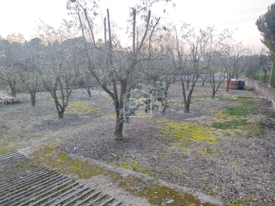 Terreno Misto para Venda em Currelos, Papízios e Sobral Foto 20