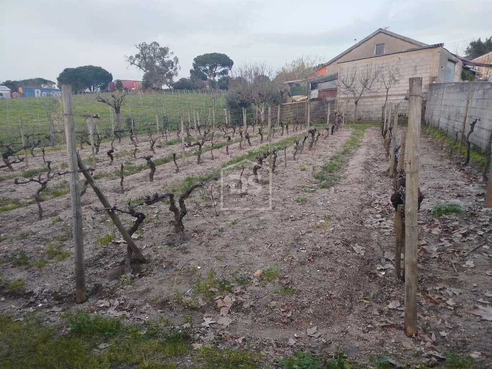 Terreno Misto para Venda em Currelos, Papízios e Sobral Foto 29