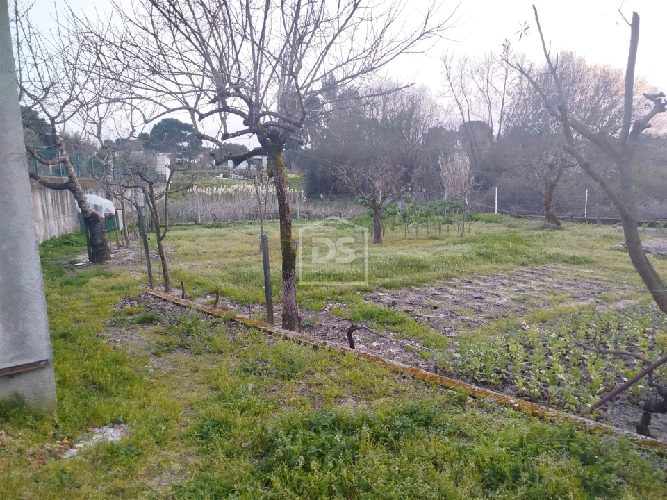 Terreno Misto para Venda em Currelos, Papízios e Sobral Foto 25