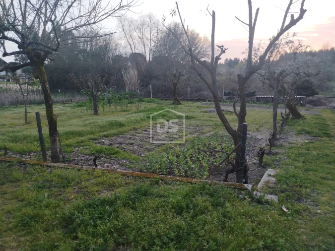 Terreno Misto para Venda em Currelos, Papízios e Sobral Foto 26