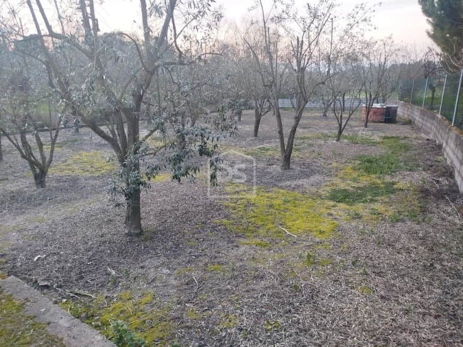 Terreno Misto para Venda em Currelos, Papízios e Sobral Foto 1