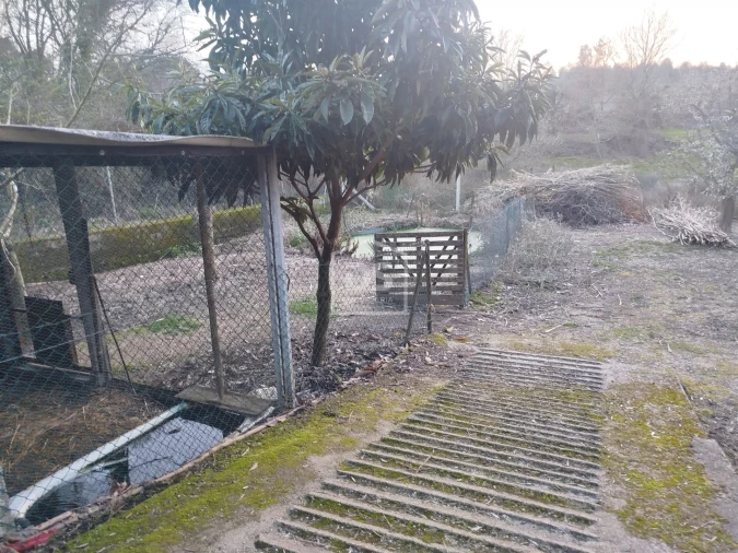 Terreno Misto para Venda em Currelos, Papízios e Sobral Foto 18