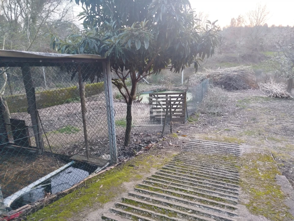 Terreno Misto para Venda em Currelos, Papízios e Sobral Foto 18