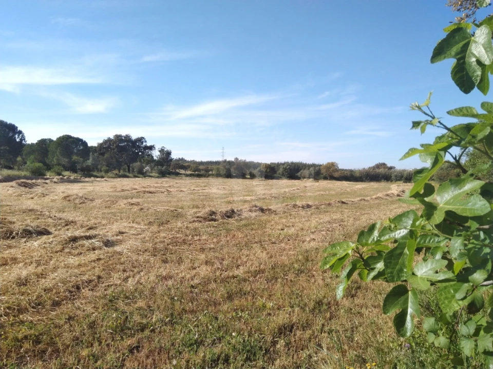 Terreno Misto para Venda em São Domingos e Vale de Água Foto 2