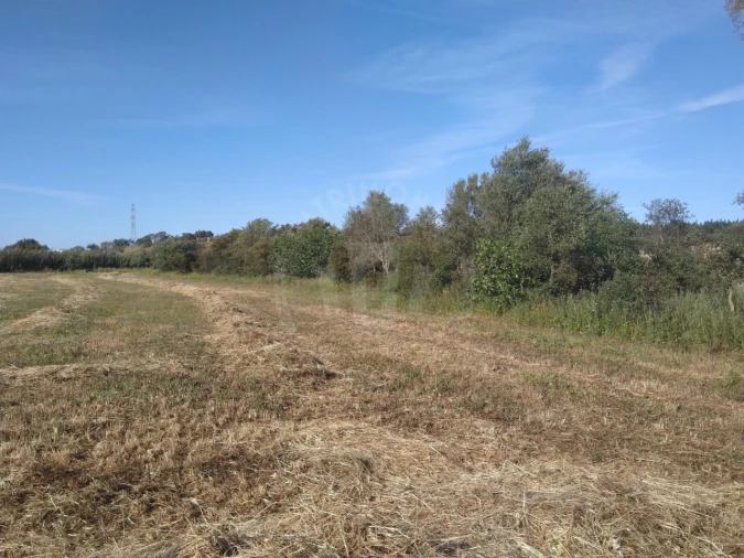 Terreno Misto para Venda em São Domingos e Vale de Água Foto 4