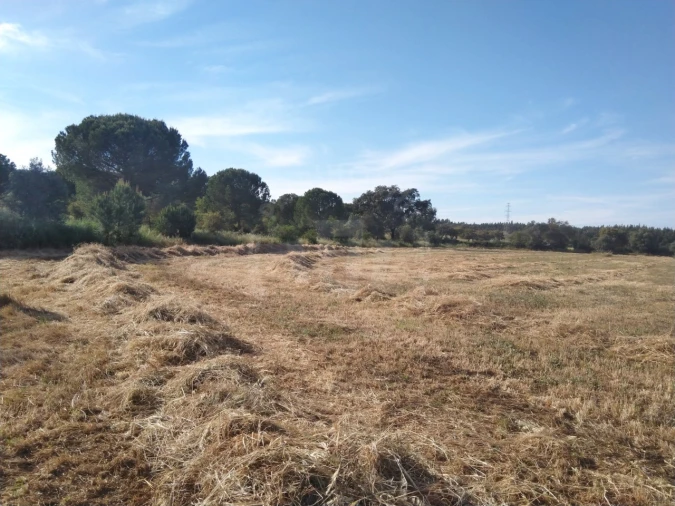 Terreno Misto para Venda em São Domingos e Vale de Água Foto 5