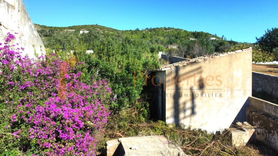 Terreno para Venda em Faro (Sé e São Pedro) Foto 8