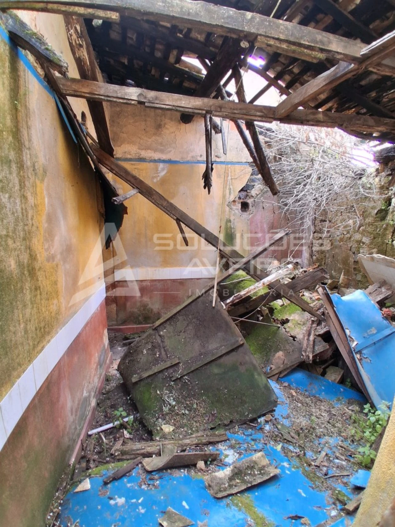 Moradia T2 para Venda em Avelãs de Cima Foto 3