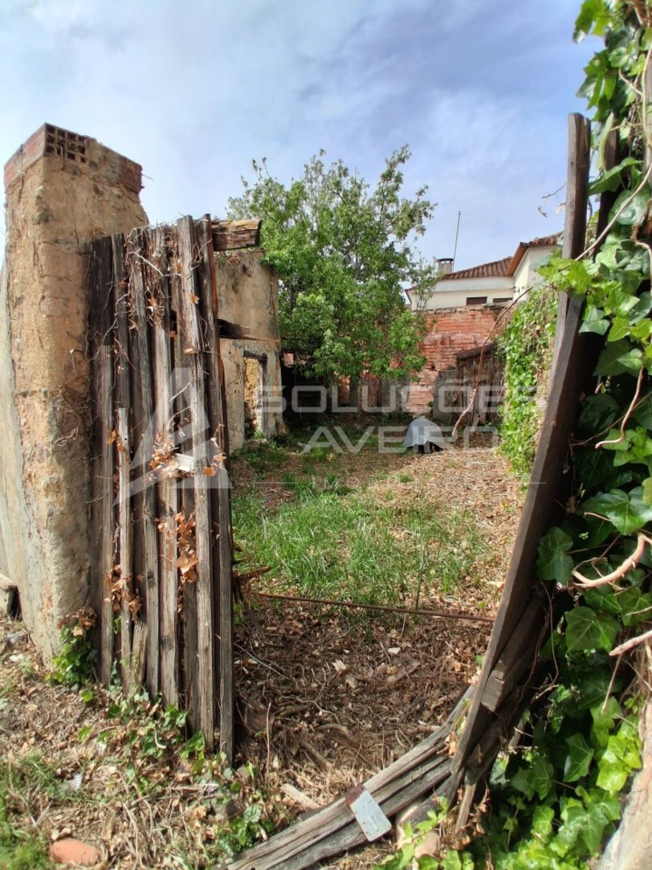 Moradia T2 para Venda em Avelãs de Cima Foto 7