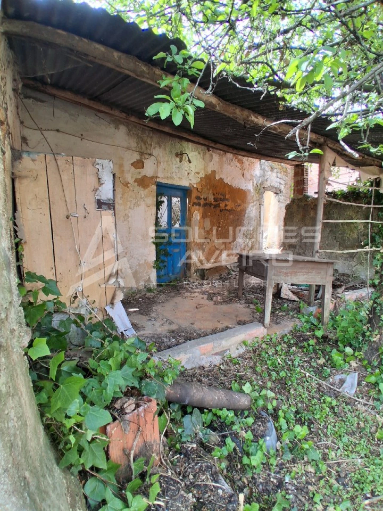 Moradia T2 para Venda em Avelãs de Cima Foto 9