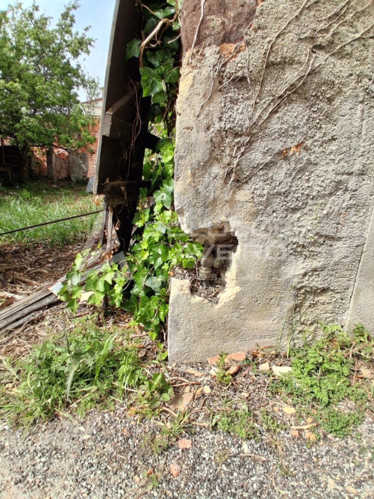 Moradia T2 para Venda em Avelãs de Cima Foto 10