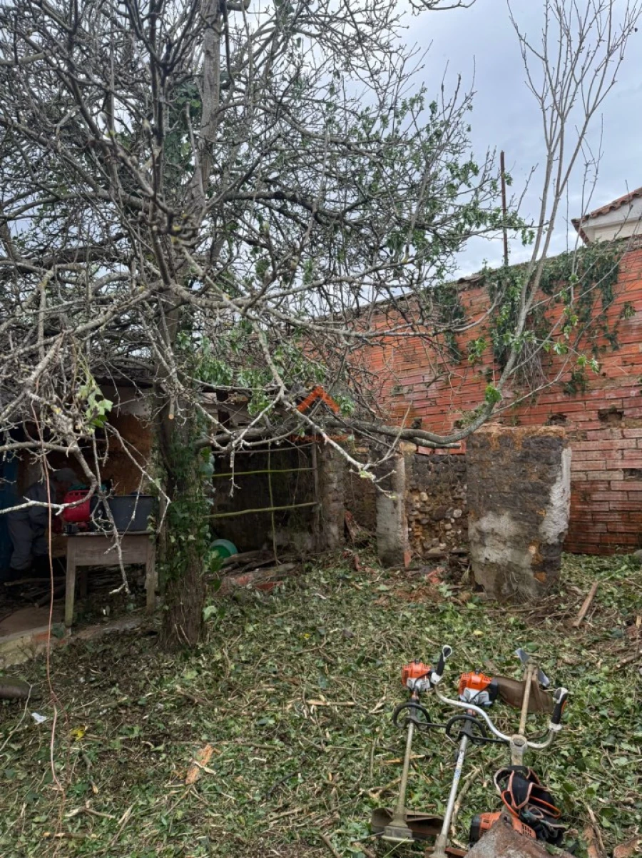 Moradia T2 para Venda em Avelãs de Cima Foto 7