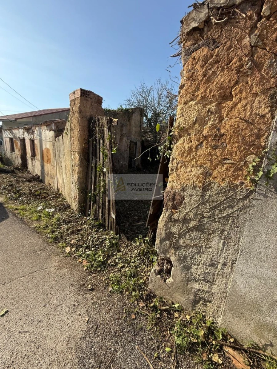 Moradia T2 para Venda em Avelãs de Cima Foto 15