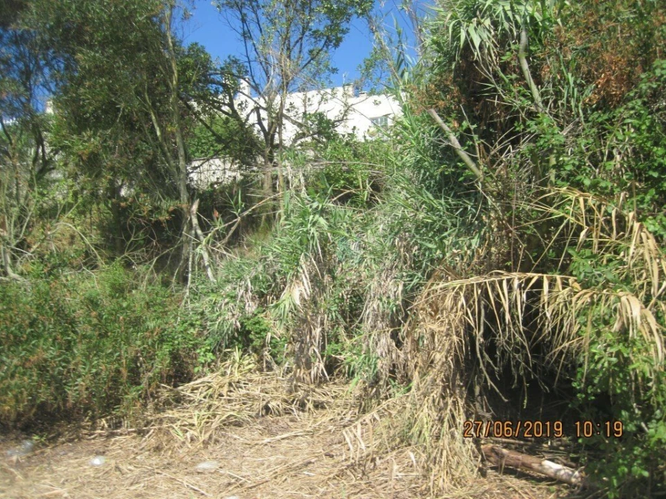 Quinta T0 para Venda em Buarcos Foto 19