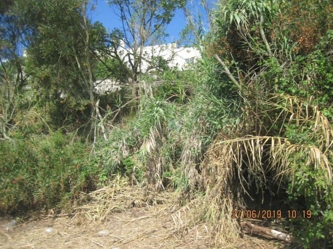 Quinta T0 para Venda em Buarcos Foto 19