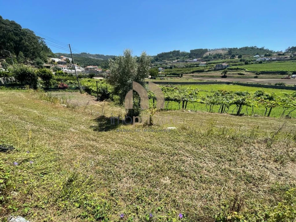 Terreno para Venda em Vilarinho Foto 18