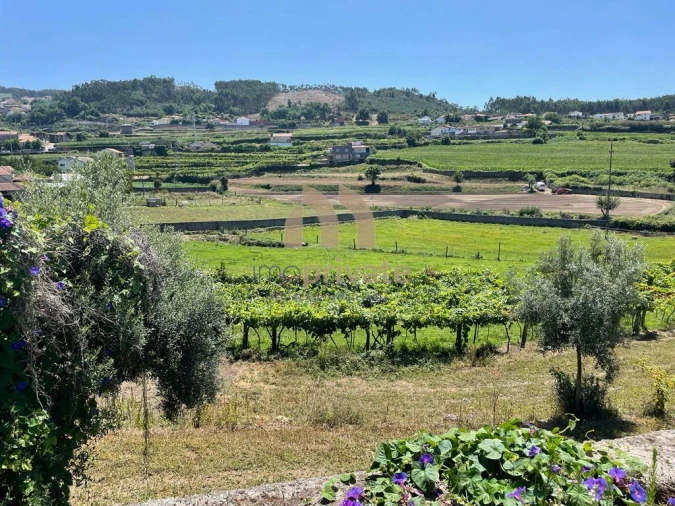 Terreno para Venda em Vilarinho Foto 19