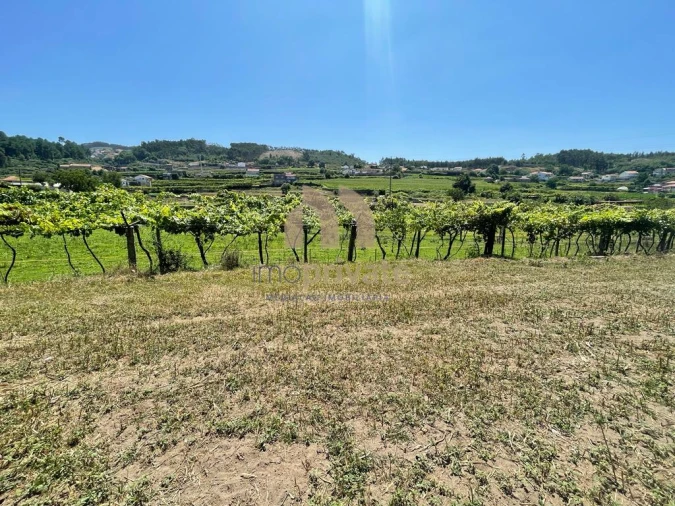 Terreno para Venda em Vilarinho Foto 17