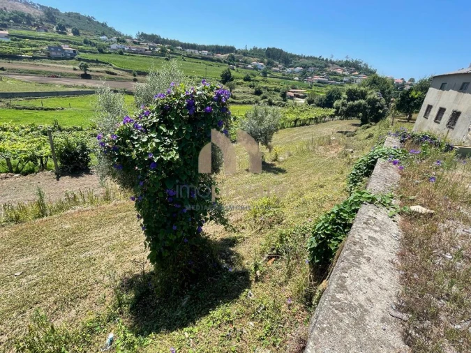 Terreno para Venda em Vilarinho Foto 7