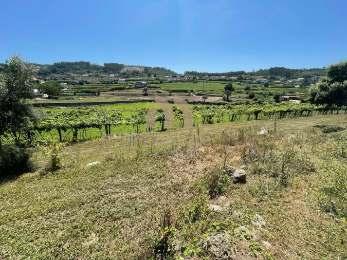 Terreno para Venda em Vilarinho