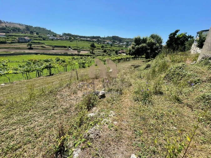 Terreno para Venda em Vilarinho Foto 2