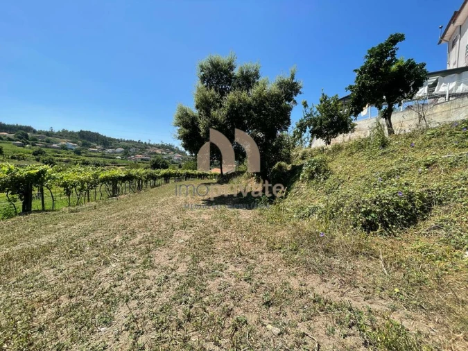 Terreno para Venda em Vilarinho Foto 4