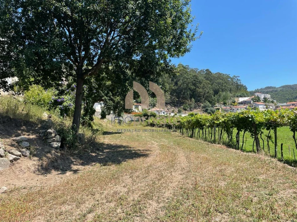 Terreno para Venda em Vilarinho Foto 14