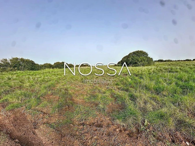 Terreno para Venda em Almargem do Bispo, Pêro Pinheiro e Montelavar Foto 5