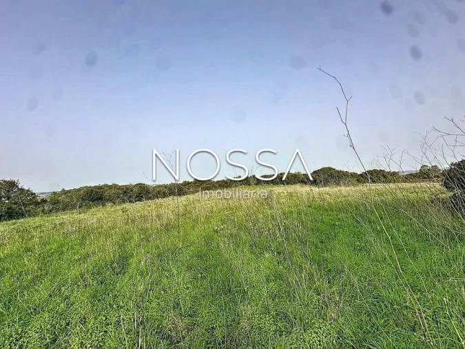 Terreno para Venda em Almargem do Bispo, Pêro Pinheiro e Montelavar Foto 1