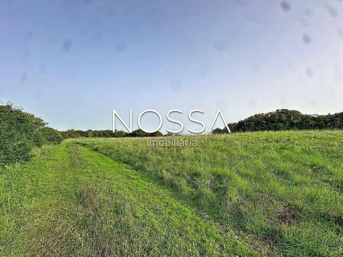 Terreno para Venda em Almargem do Bispo, Pêro Pinheiro e Montelavar Foto 8