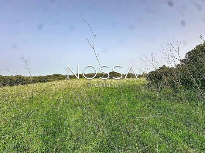 Terreno para Venda em Almargem do Bispo, Pêro Pinheiro e Montelavar Foto 18