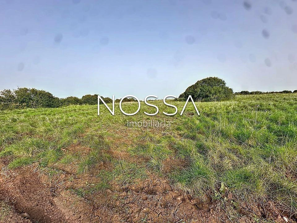 Terreno para Venda em Almargem do Bispo, Pêro Pinheiro e Montelavar Foto 5