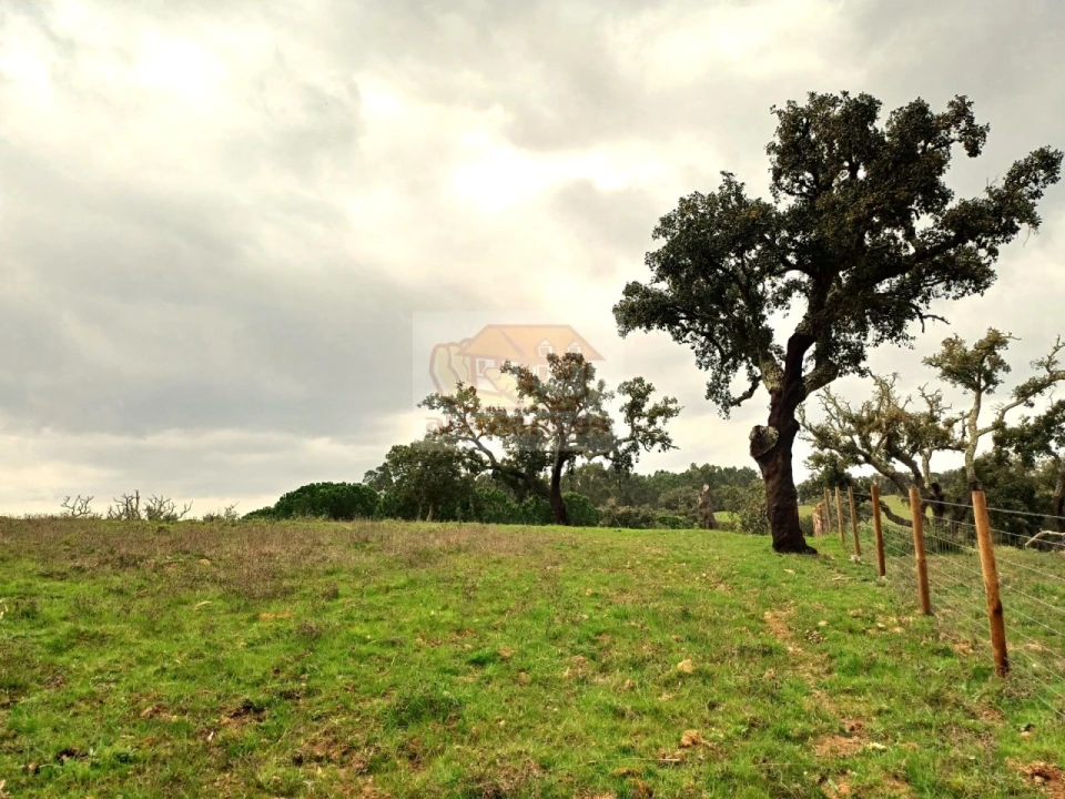 Terreno Misto para Venda em São Domingos e Vale de Água Foto 5