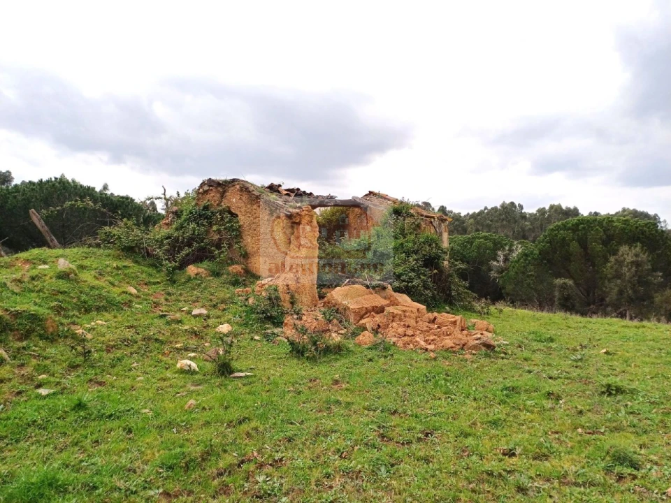 Terreno Misto para Venda em São Domingos e Vale de Água Foto 3