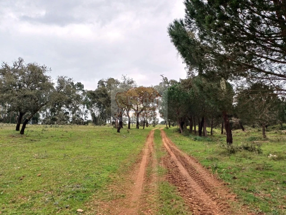 Terreno Misto para Venda em São Domingos e Vale de Água Foto 6
