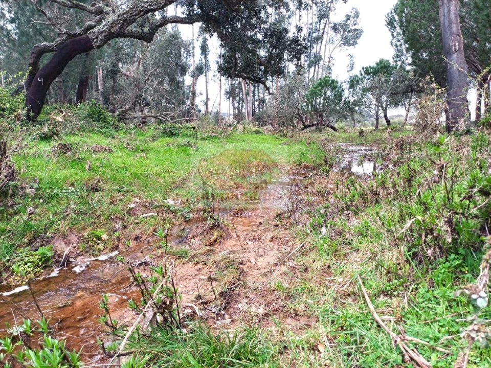 Terreno Misto para Venda em São Domingos e Vale de Água Foto 7