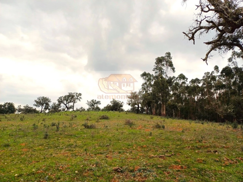 Terreno Misto para Venda em São Domingos e Vale de Água Foto 9