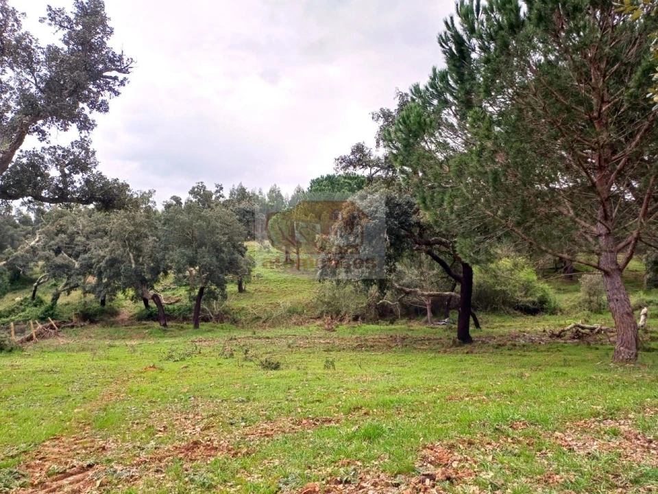 Terreno Misto para Venda em São Domingos e Vale de Água Foto 12