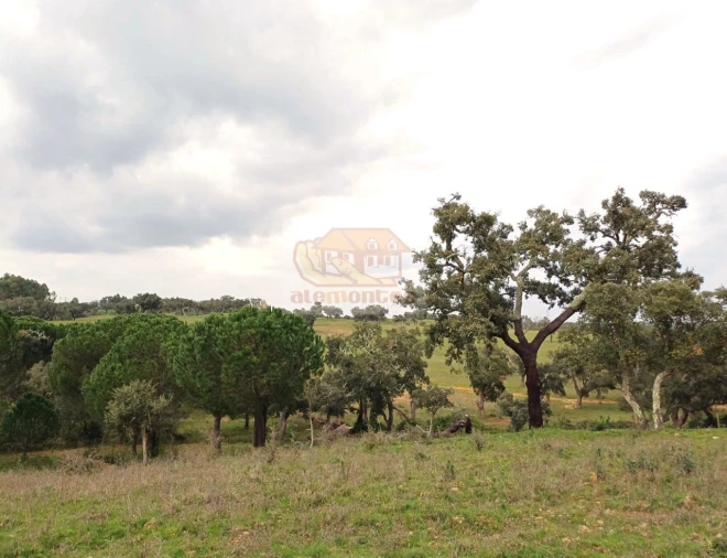 Terreno Misto para Venda em São Domingos e Vale de Água Foto 4