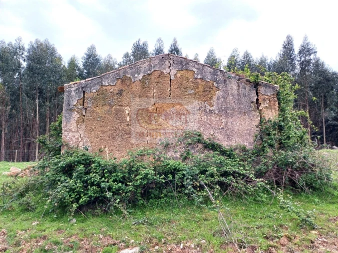 Terreno Misto para Venda em São Domingos e Vale de Água Foto 1