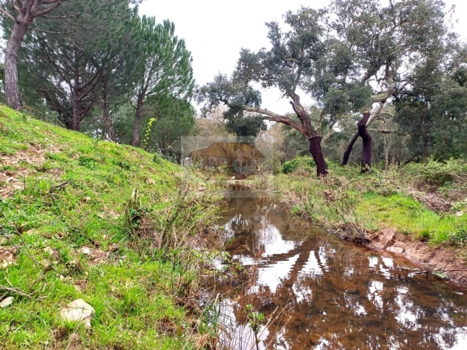 Terreno Misto para Venda em São Domingos e Vale de Água Foto 2