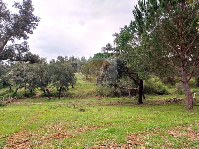 Terreno Misto para Venda em São Domingos e Vale de Água Foto 12