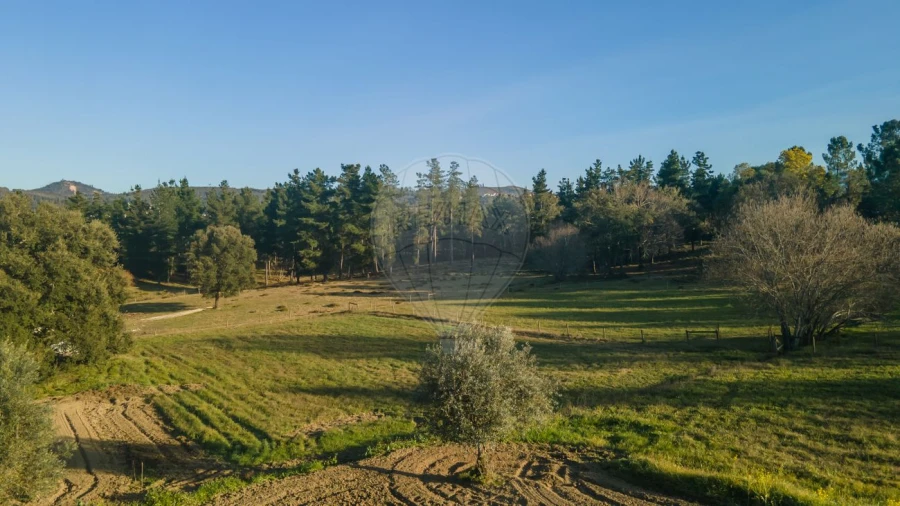 Moradia T7 para Venda em Poiares (Santo Andre) Foto 30