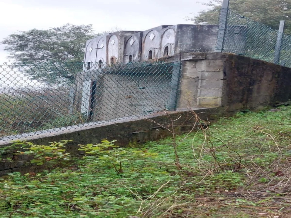 Terreno Agricola ou Rústico para Venda em Torres Novas (Santa Maria, Salvador e Santiago) Foto 9