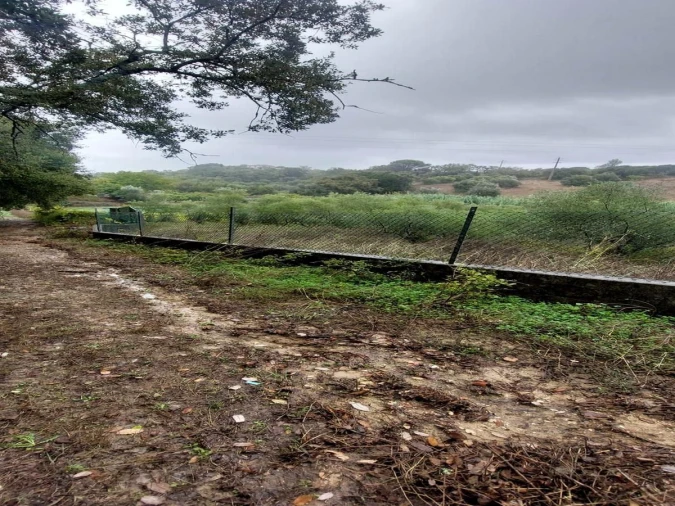 Terreno Agricola ou Rústico para Venda em Torres Novas (Santa Maria, Salvador e Santiago) Foto 8