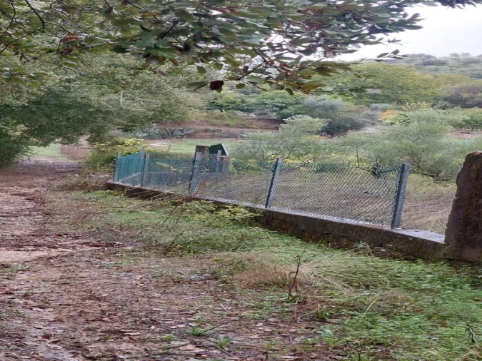 Terreno Agricola ou Rústico para Venda em Torres Novas (Santa Maria, Salvador e Santiago) Foto 10