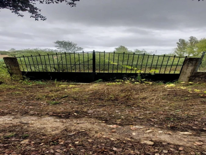 Terreno Agricola ou Rústico para Venda em Torres Novas (Santa Maria, Salvador e Santiago) Foto 11