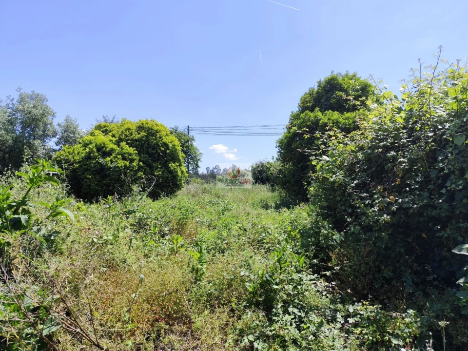 Moradia T6 para Venda em Aguada de Cima Foto 3