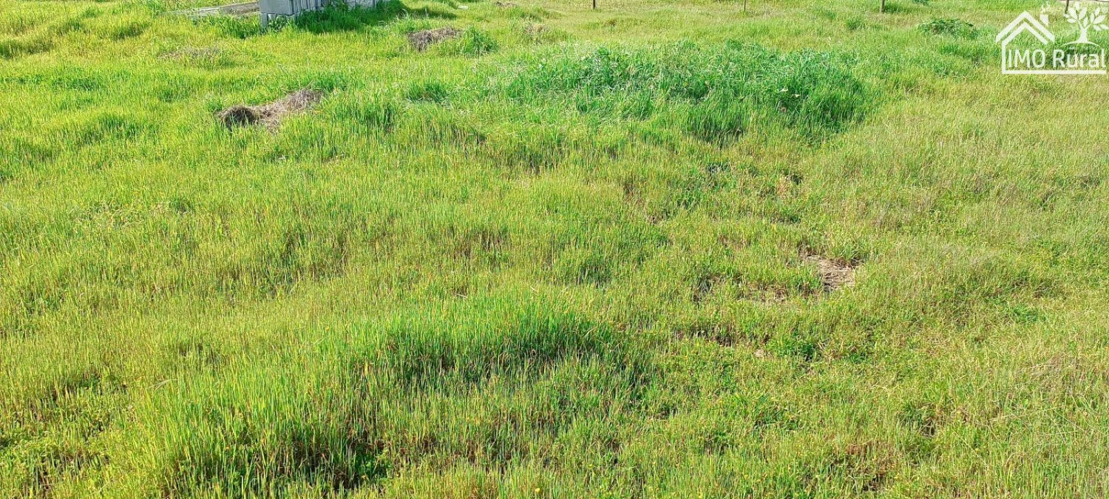 Terreno para Venda em Almeirim Foto 8