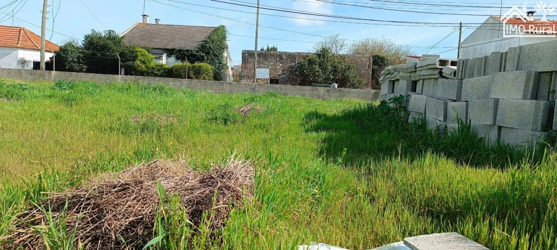 Terreno para Venda em Almeirim Foto 14